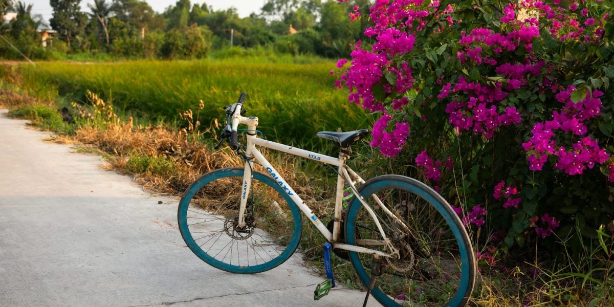 a bicycle parked on the side of a road